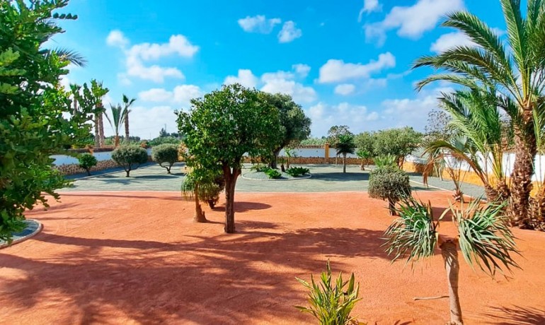 Herverkoop - Finca / Landgoed -
Catral* - Catral - Country