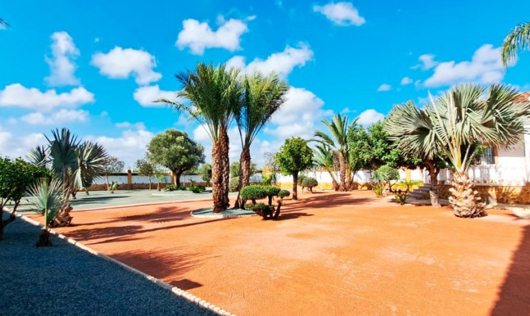 Herverkoop - Finca / Landgoed -
Catral* - Catral - Country