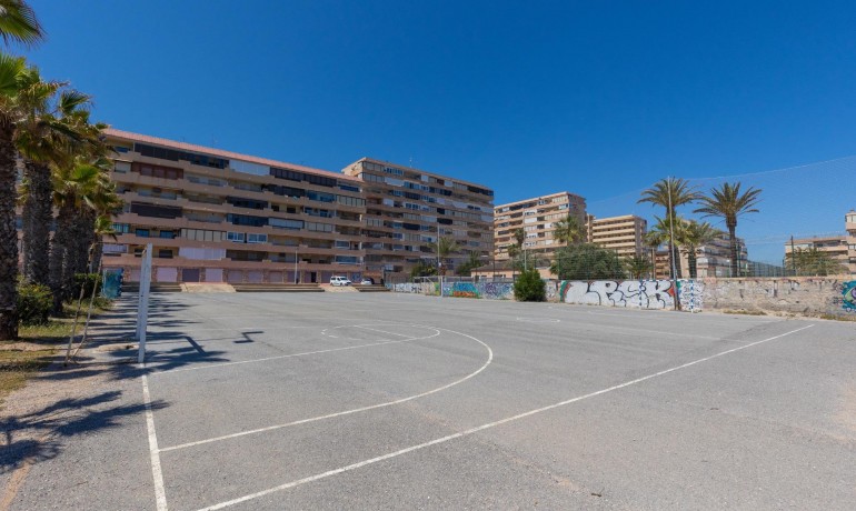 Herverkoop - Appartement / Flat -
Torrevieja* - Cabo cervera