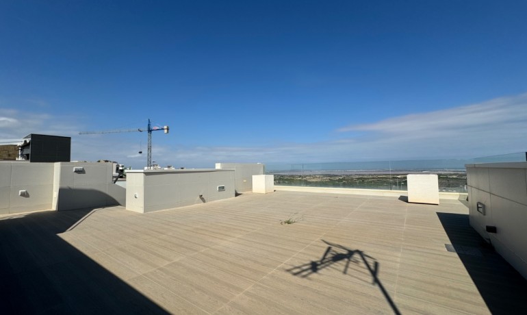 Venta - Villa -
San Miguel de Salinas - San Miguel De Salinas