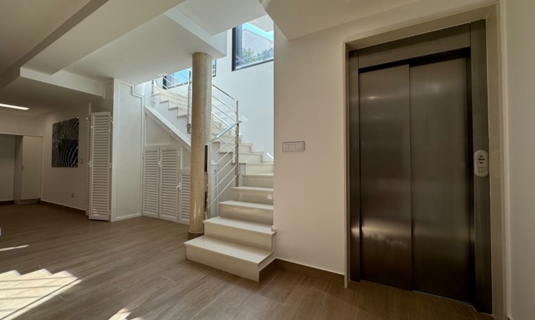 Venta - Villa -
San Miguel de Salinas - San Miguel De Salinas