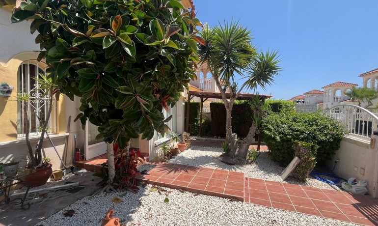 Sale - Villa -
Algorfa* - Algorfa