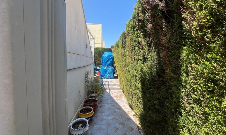 Sale - Villa -
Algorfa* - Algorfa