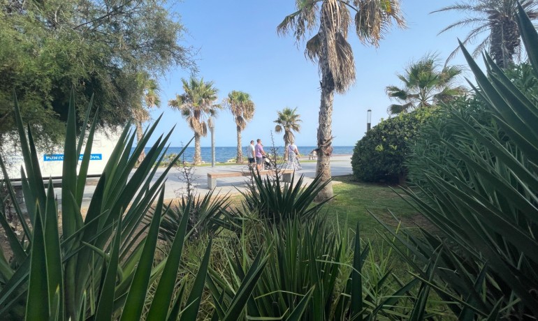 Herverkoop - Reclame -
Torrevieia - Comunidad Valenciana