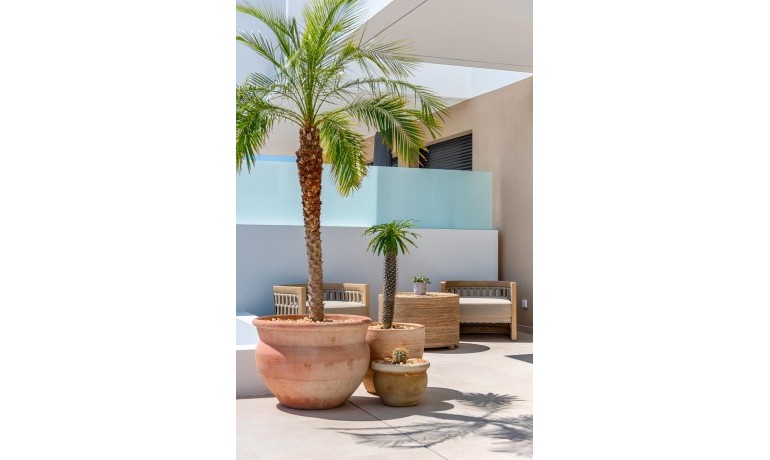 Nieuwbouw - Villa -
Dolores* - Sector 3