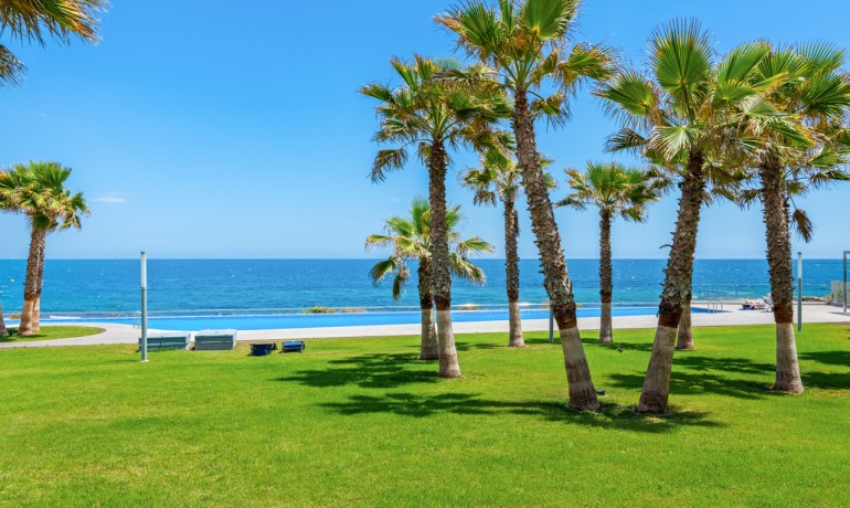 Sale - Apartment / Flat -
Punta Prima* - Punta Prima