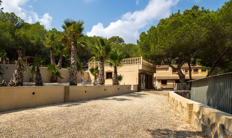 Herverkoop - Finca / Landgoed -
Torremendo