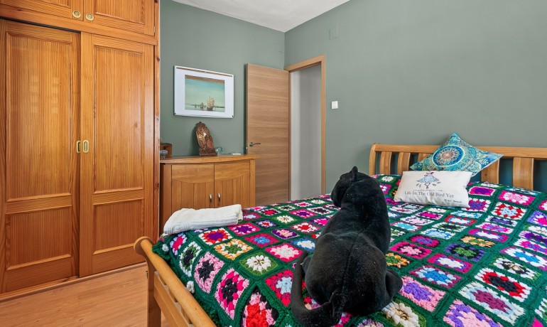 Herverkoop - Finca / Landgoed -
Torremendo