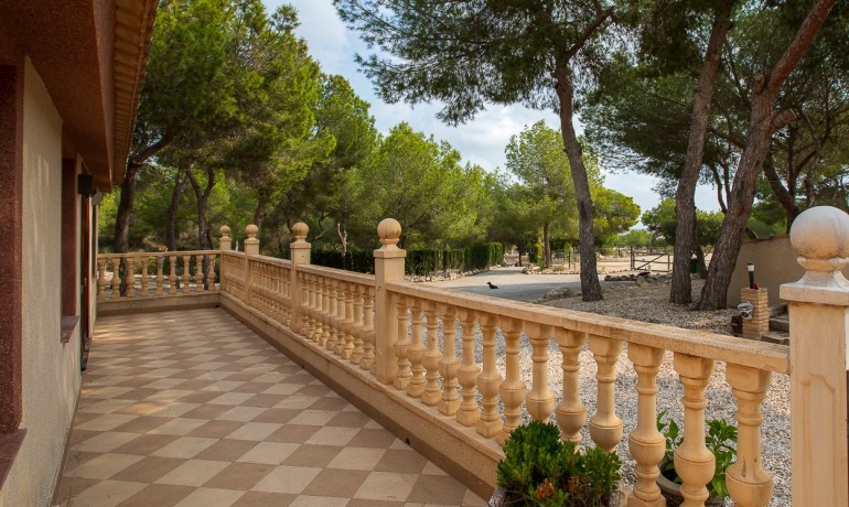 Herverkoop - Finca / Landgoed -
Torremendo