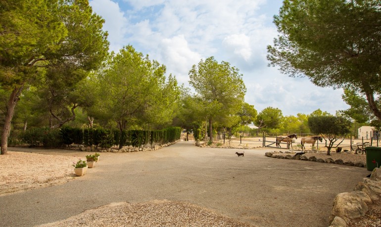 Herverkoop - Finca / Landgoed -
Torremendo