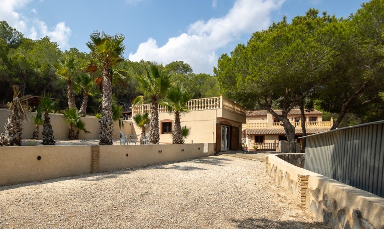 Herverkoop - Finca / Landgoed -
Torremendo