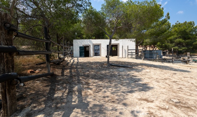 Herverkoop - Finca / Landgoed -
Torremendo