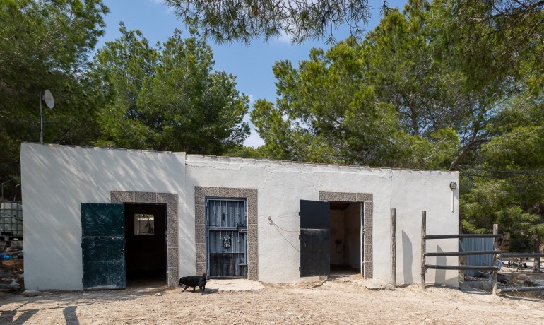 Herverkoop - Finca / Landgoed -
Torremendo