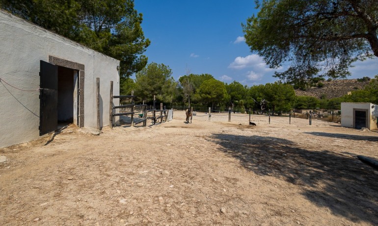 Herverkoop - Finca / Landgoed -
Torremendo