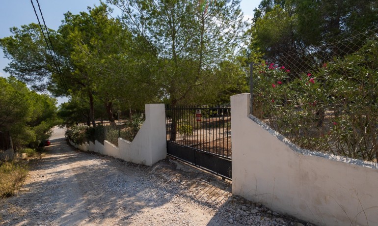 Herverkoop - Finca / Landgoed -
Torremendo