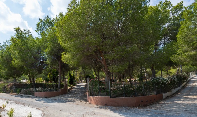 Herverkoop - Finca / Landgoed -
Torremendo