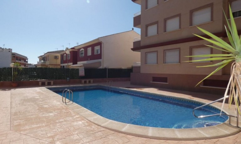 Venta - Apartamento / piso -
Algorfa