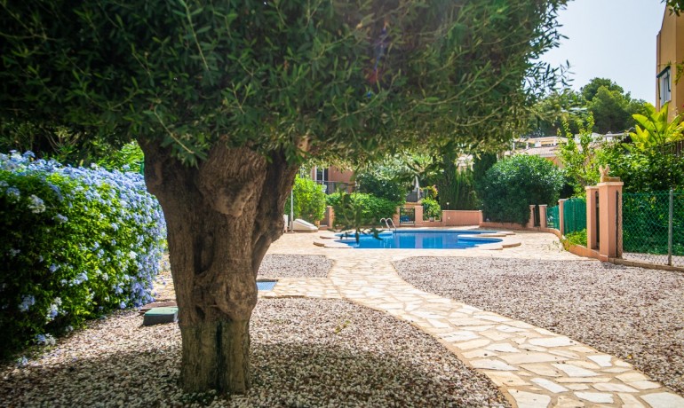 Venta - Casa -
Torrevieja - LOS BALCONES - LOS ALTOS