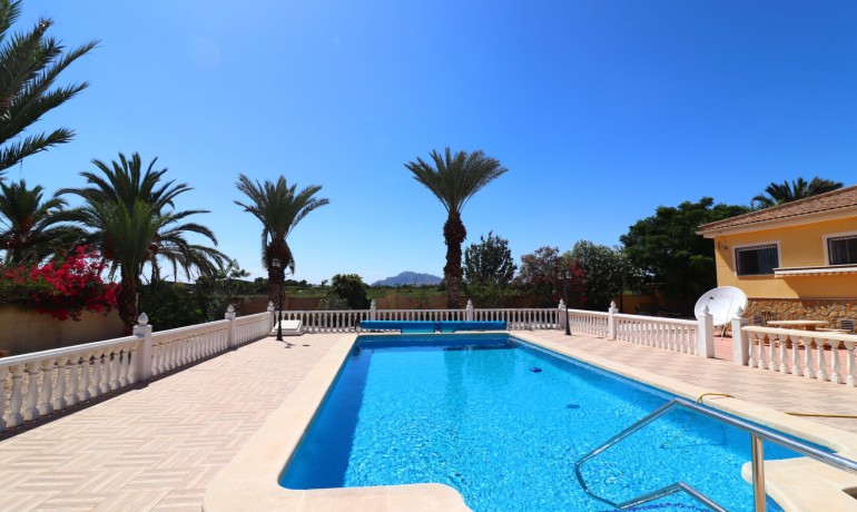 Herverkoop - Finca / Landgoed -
Catral* - Catral - Country