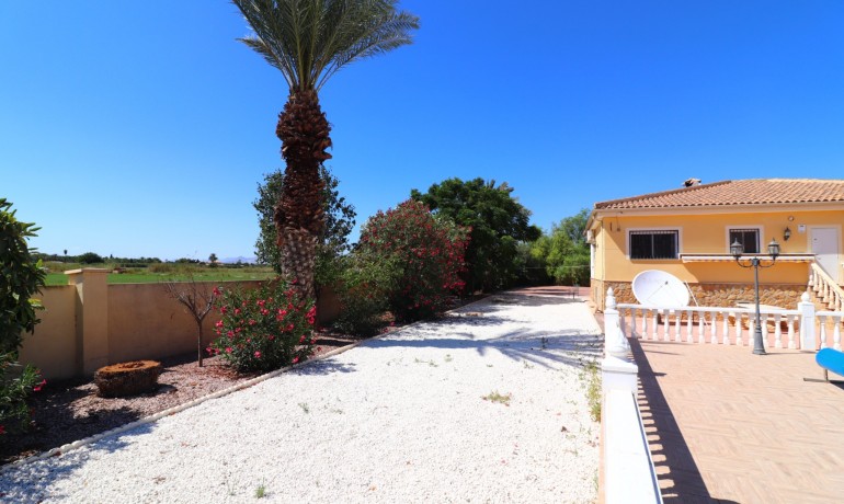 Herverkoop - Finca / Landgoed -
Catral* - Catral - Country