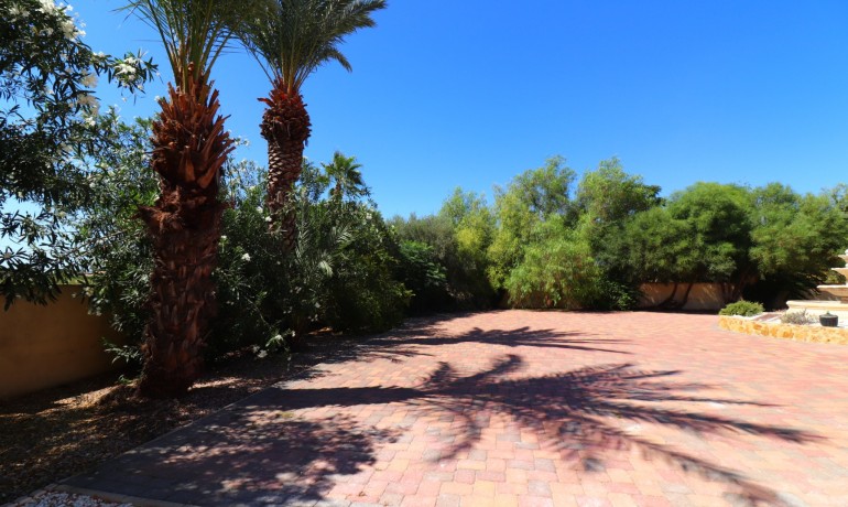 Herverkoop - Finca / Landgoed -
Catral* - Catral - Country