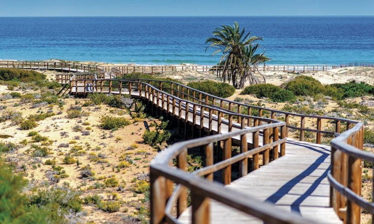 Nieuwbouw - Appartement / Flat -
Montfort del Cid* - Alenda Golf