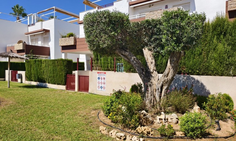Herverkoop - Appartement / Flat -
Orihuela Costa* - La Ciñuelica