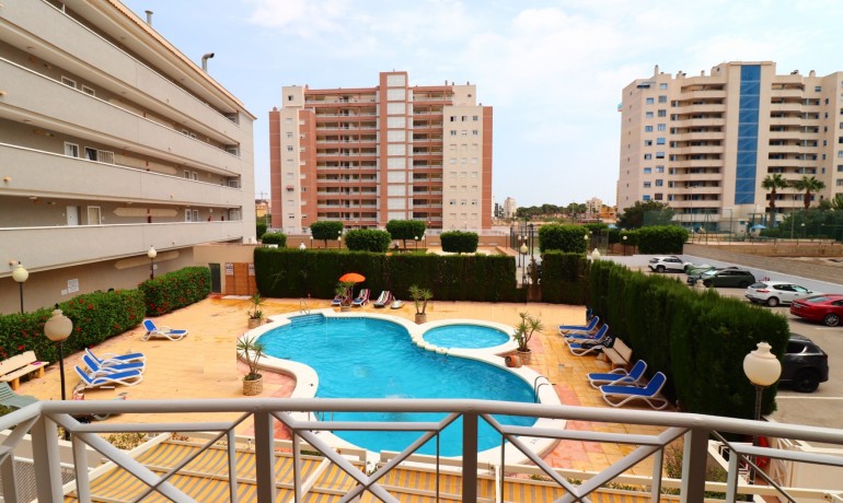Herverkoop - Appartement / Flat -
Guardamar del Segura* - Guardamar del Segura - Town
