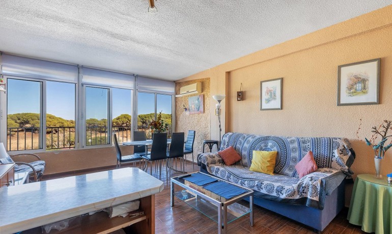 Venta - Apartamento / piso -
Guardamar del Segura - Urb. pinomar