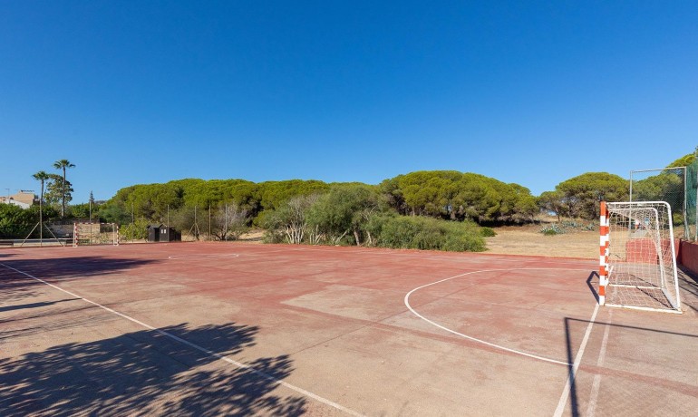 Venta - Apartamento / piso -
Guardamar del Segura - Urb. pinomar