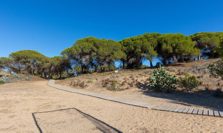 Venta - Apartamento / piso -
Guardamar del Segura - Urb. pinomar