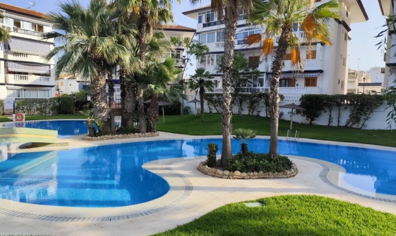 Herverkoop - Appartement / Flat -
Torrevieja* - Torrevieja