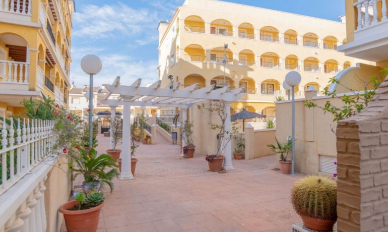 Revente - Appartement / Flat -
Algorfa* - Algorfa