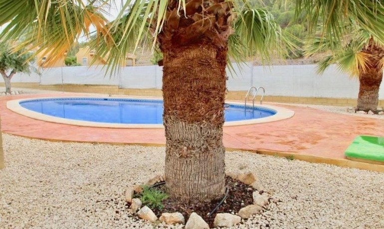 Nieuwbouw - Villa -
La Romana - Villas de la Romana