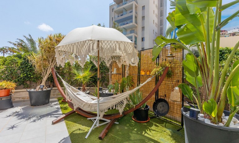 Herverkoop - Appartement / Flat -
La Mata - Playa