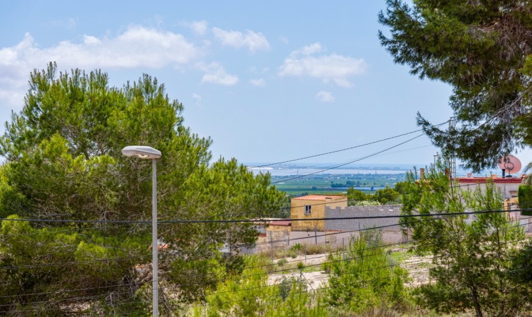 Sale - Villa -
Jacarilla