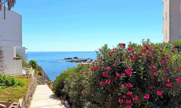 Venta - Apartamento / piso -
Cabo de Palos