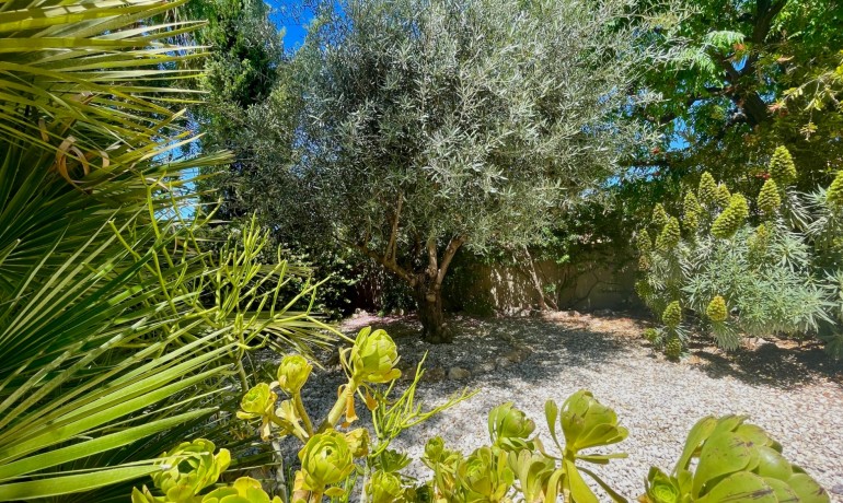 Sale - Villa -
Hondón de las Nieves - Hondón de las Nieves*