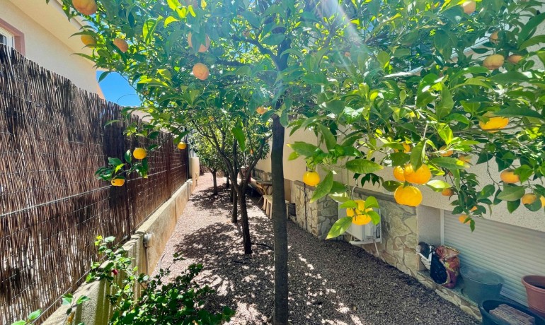 Sale - Villa -
Hondón de las Nieves - Hondón de las Nieves*