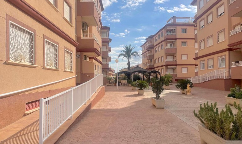 Sale - Apartment / Flat -
Algorfa* - Algorfa