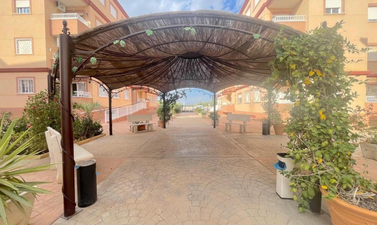 Sale - Apartment / Flat -
Algorfa* - Algorfa