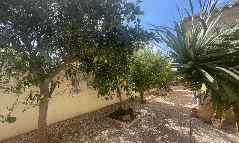 Herverkoop - Villa -
Algorfa* - Algorfa