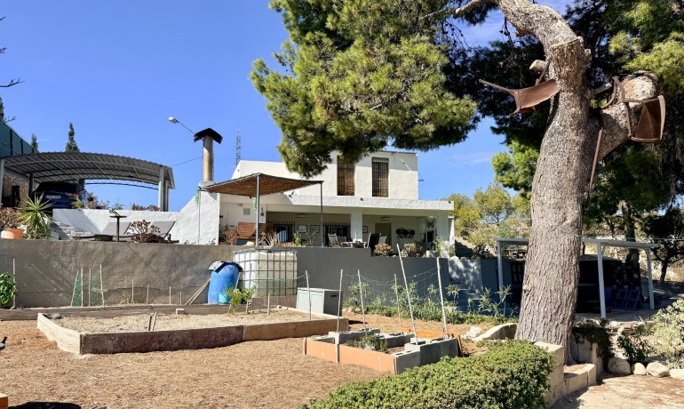 Herverkoop - Villa -
Elche* - Center