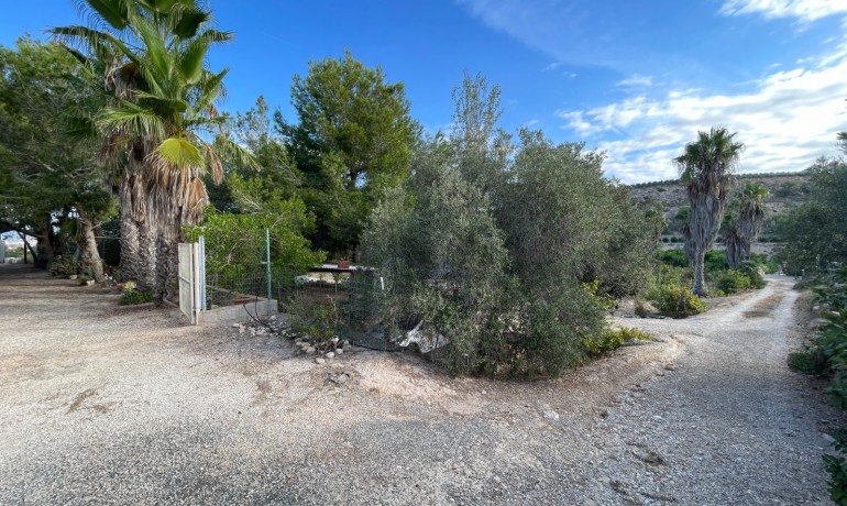 Herverkoop - Finca Country Property -
Jacarilla