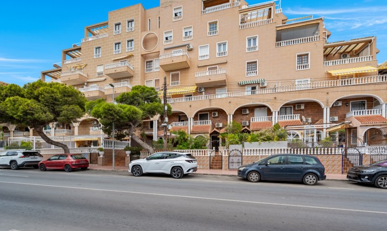 Sale - Apartment / Flat -
Punta Prima* - Punta Prima