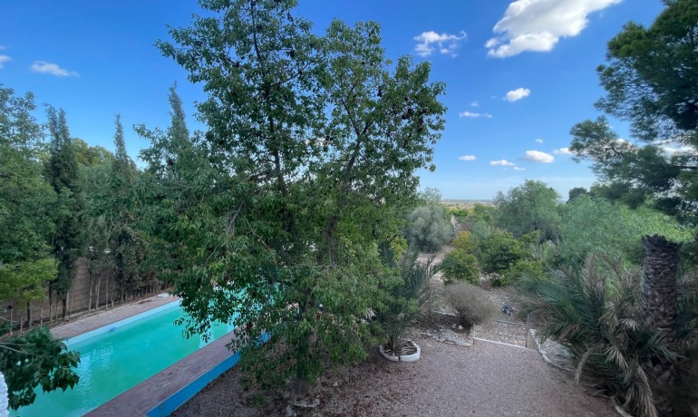 Herverkoop - Finca Country Property -
Albatera