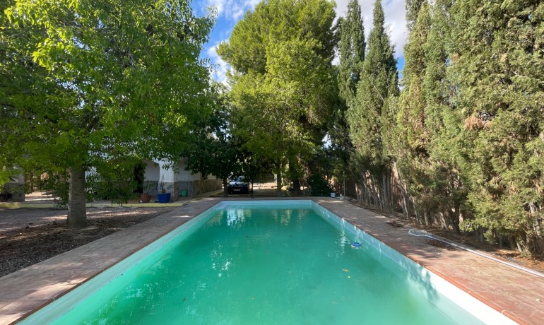 Herverkoop - Finca Country Property -
Albatera