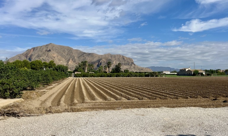 Sale - Villa -
Orihuela* - Orihuela