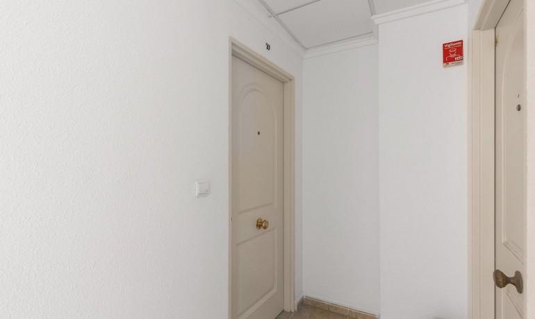 Herverkoop - Appartement / Flat -
Torrevieja* - Centro