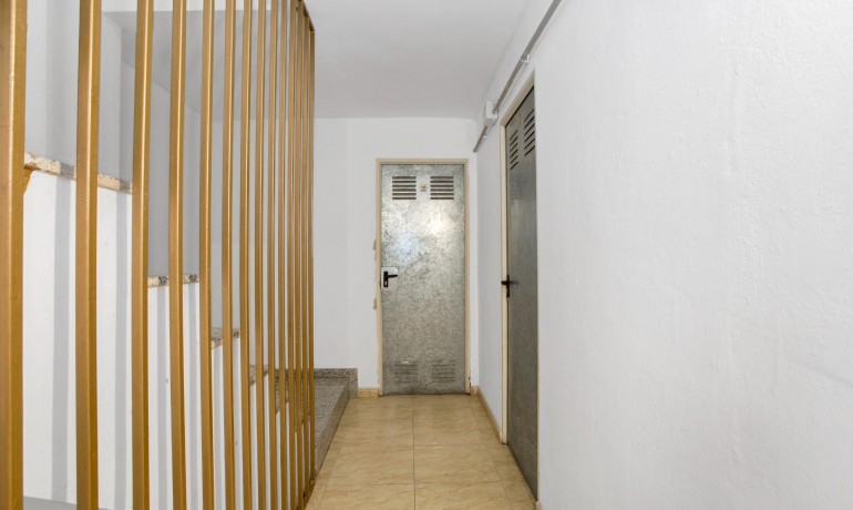 Herverkoop - Appartement / Flat -
Torrevieja* - Centro